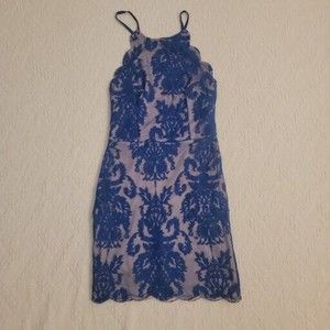 Hello Molly Lace Royal Blue And Nude Bodycon Mini Dress XS Scallop Halter